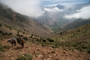 2 Day Imlil & Imnane Valley Trek