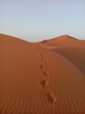 Footsteps in the Desert