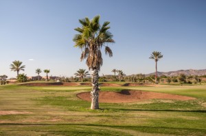 Bunkers, Marrakech Golf Course