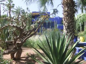 Majorelle garden plants